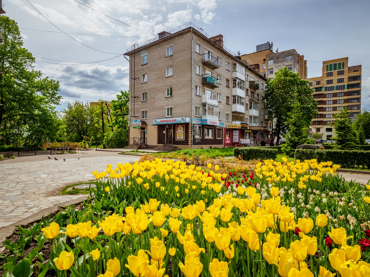 Дохтурова, 1